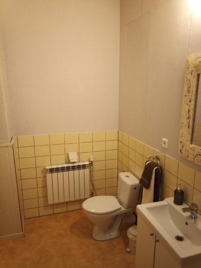 Bed and Breakfast Zur Friedrichsruh Oelsnitz  Exterior foto